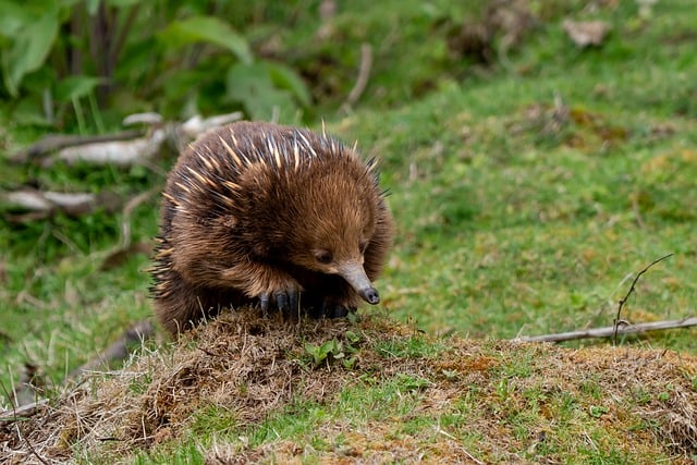 삼성 주식의 공매도 현황은?