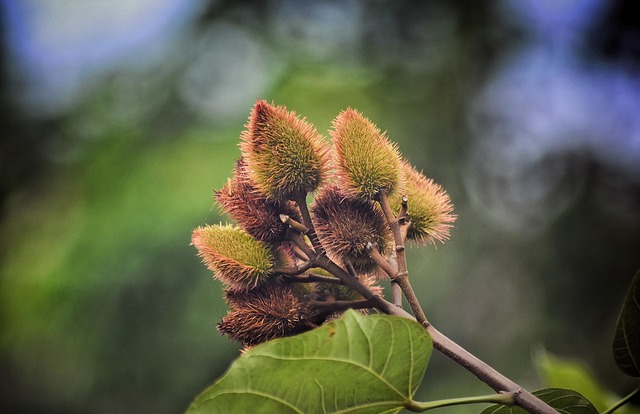 뇌진탕, 대체 무엇인가요?
