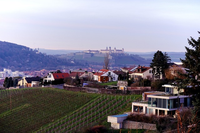우리나라 돈, 원화와 스위스 프랑 환율 이야기