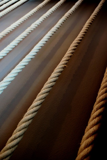 테더의 글로벌 영향력과 시장 점유율