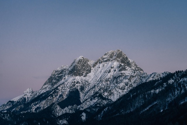 겨울왕국 평창, 눈꽃과 힐링의 조화