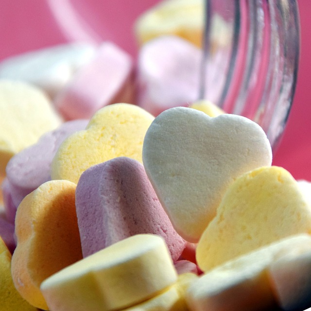 정액형과 실손형, 나에게 맞는 치아보험은?