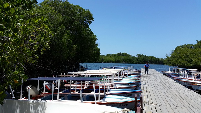 환율 변동이 베네수엘라 사람들에게 미치는 영향