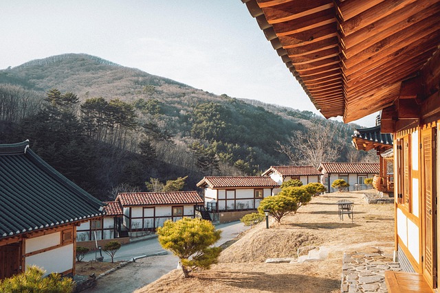 약손명가 이병철 김현숙 이야기 골기테라피 효과와 가격 2 약손명가 이야기의 시작: 골기테라피와 이병철 회장