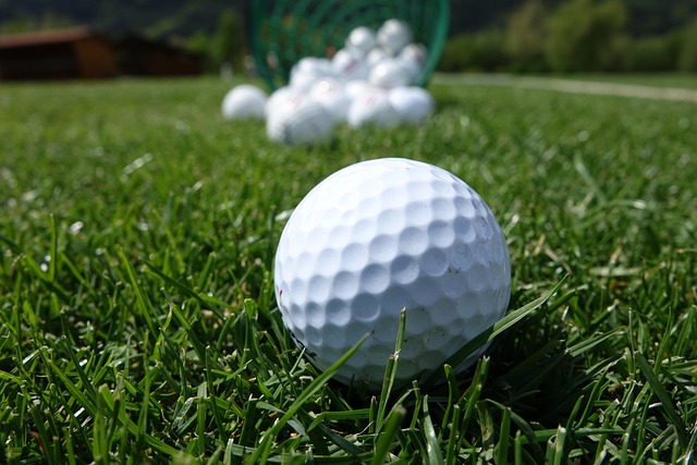 27홀 코스, 웰링턴CC의 프라이빗한 매력 ⛳️