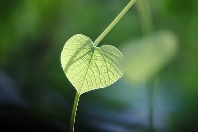 친환경 소재와 실용성까지 다 잡았어! 🌿