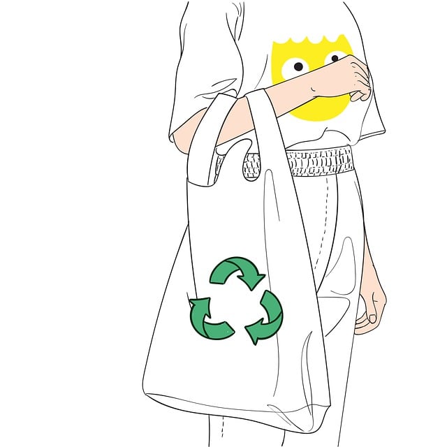 얼마나 할까? 명품 에코백 가격과 소비자 반응 💰