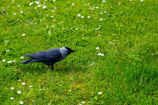 기업은행 IRP 계좌, 이게 뭐예요?
