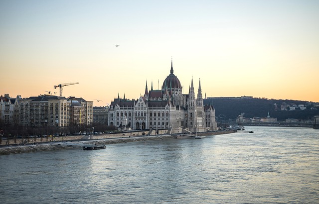 국회 청문회, 김범석 의장이 왜 핵심 증인인가요?
