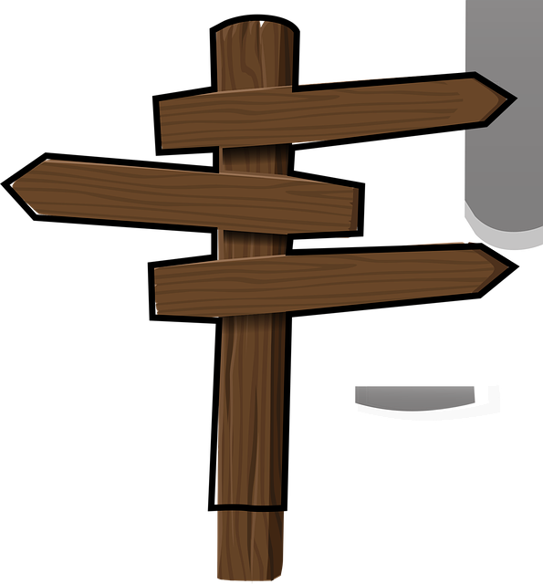 사랑니 발치후 식사: 언제부터, 어떻게 시작할까요?