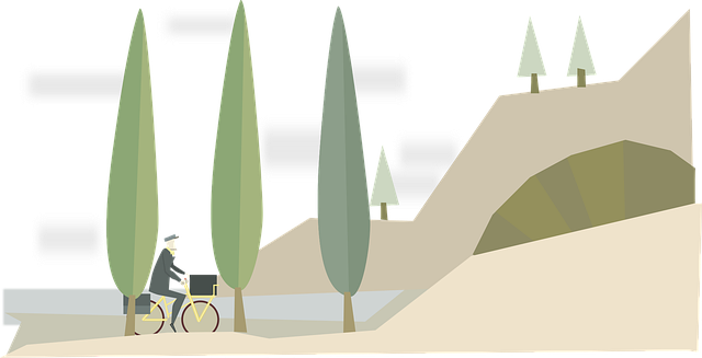 최근 출시된 트라이폴드 모델들 비교!