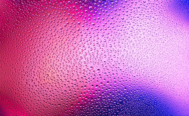 여름철 불청객 권연벌레, 왜 이때 더 많을까요?