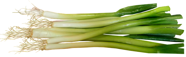 맛있는 양파장아찌, 어떤 재료들이 필요할까요?