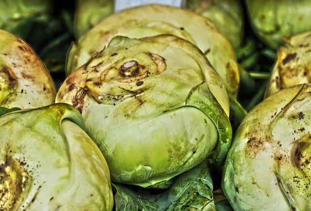 콜라비란 무엇인가: 정의와 기본 특성