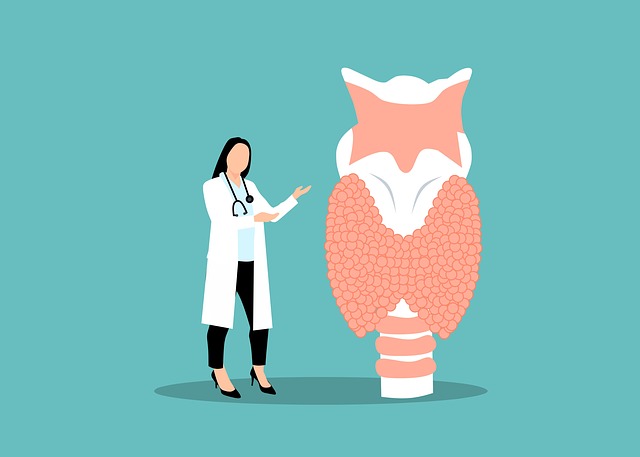 광주 내분비내과, 우리 몸의 지휘자를 만나요!