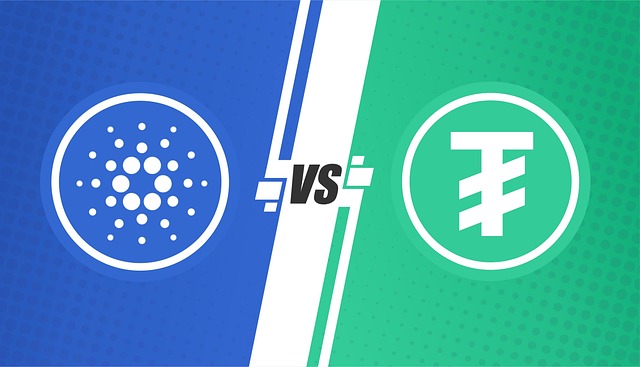 신퓨처스(F) 코인, 미래 금융의 문을 열다