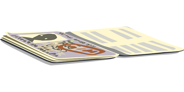 여러 미국 비자 서류를 비교하며 고민하는 모습