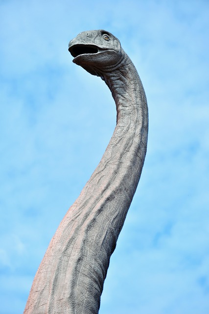 언제부터 있었을까? 농협 CMA통장의 역사