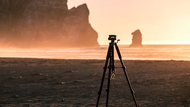 여름엔 물놀이, 겨울엔 눈썰매! 사계절 즐거움!