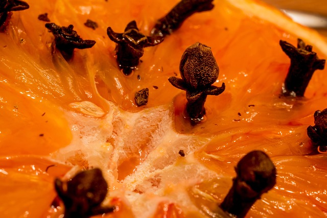 모스큐 모기퇴치기, 어떤 제품인가요?