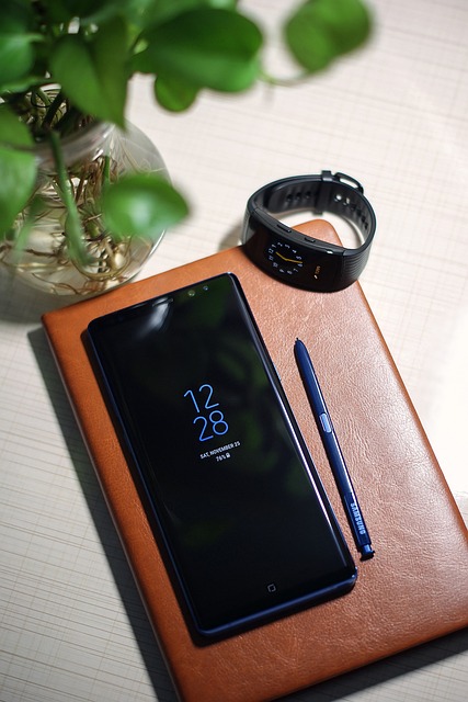 언제 만날 수 있나요? 국내 출시일과 구매 방법