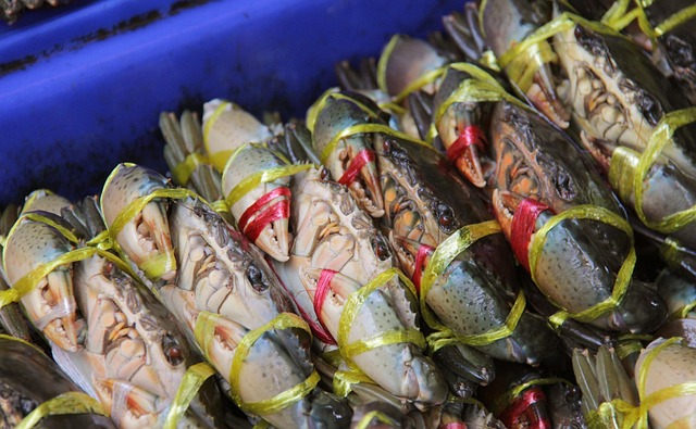 싱싱한 꽃게 손질! 비린내 없이 깨끗하게!