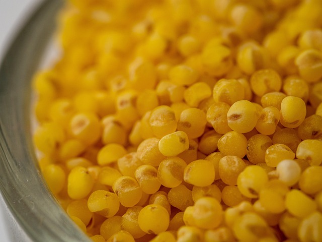 밀리아신이란? 기장밀 추출복합물의 모든 것