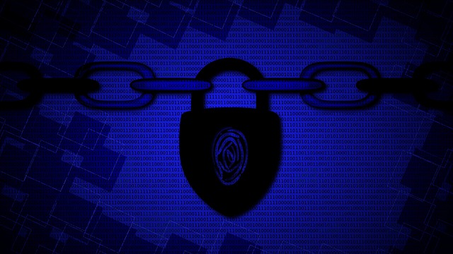 털린 내 정보 찾기 서비스, 이게 뭐예요?