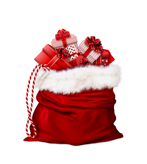 고야드 미니 앙주 이너백, 이게 뭔가요?