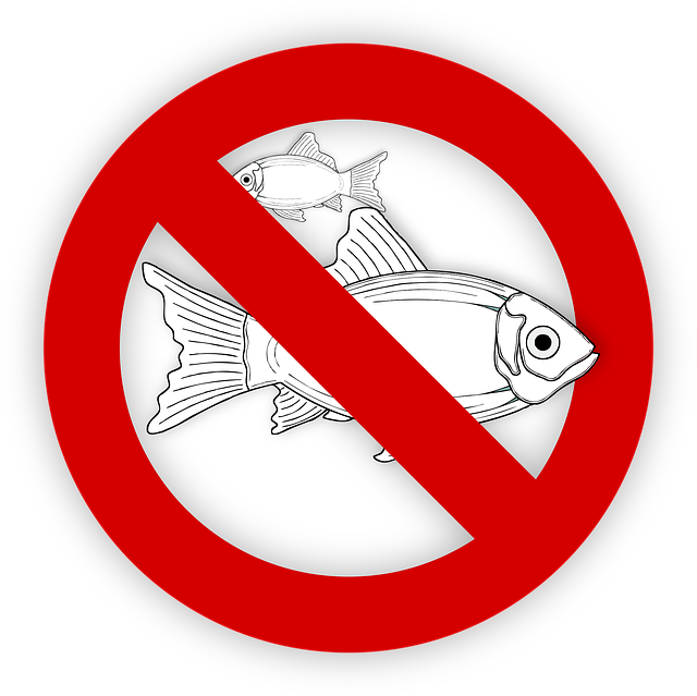 지연성 알러지의 주요 원인과 유발 요인