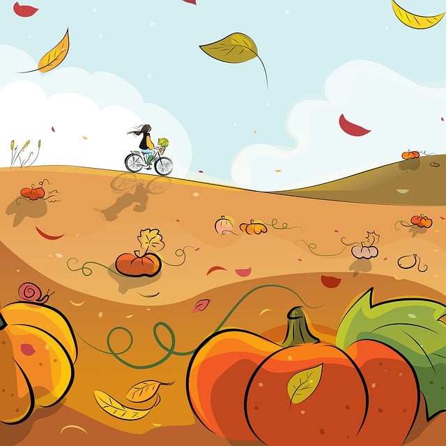 논산 핑크뮬리, 가을을 물들이는 분홍빛 유혹