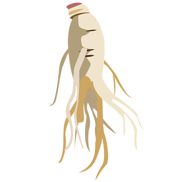 한국과 중국, 우황청심원에도 차이가 있어요! (종류와 비교)