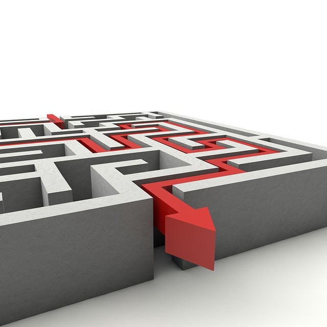 2025년부터 2050년까지, 리플 XRP 가격은? 💰