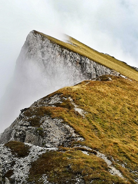 APEC 정상회의, 2025년 경주에서 열립니다! 🌎