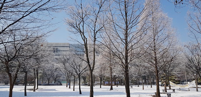 2025년 수원화성 미디어아트: ‘새빛향연’ 미리 보기