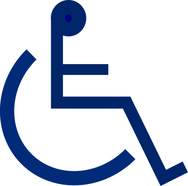 장애인·특수 차량 증빙서류: 법적 보호 사례