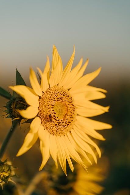 왜 하필 인천 구월동일까? 숨겨진 전략!