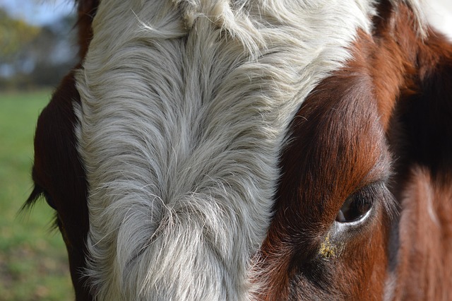 두한증, 과연 무엇일까요?
