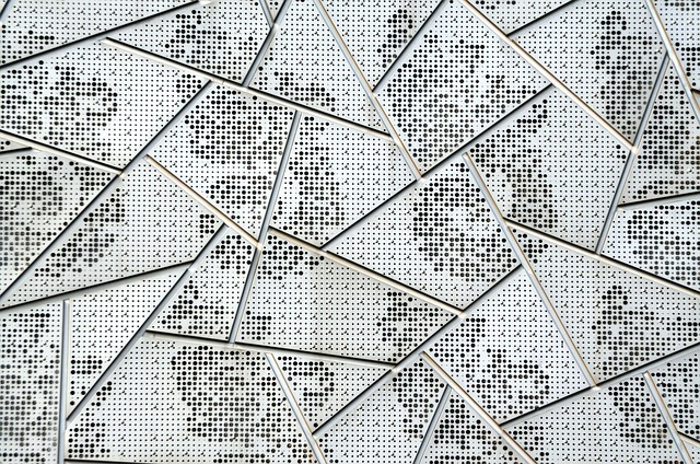 해결책 제시 (Solution): 명확한 길을 보여주다