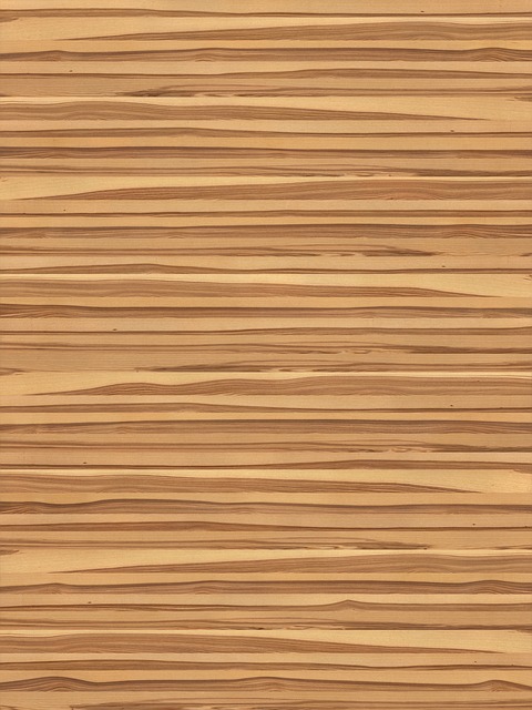 아이폰17, 역대급 색상 라인업을 소개합니다 🎨