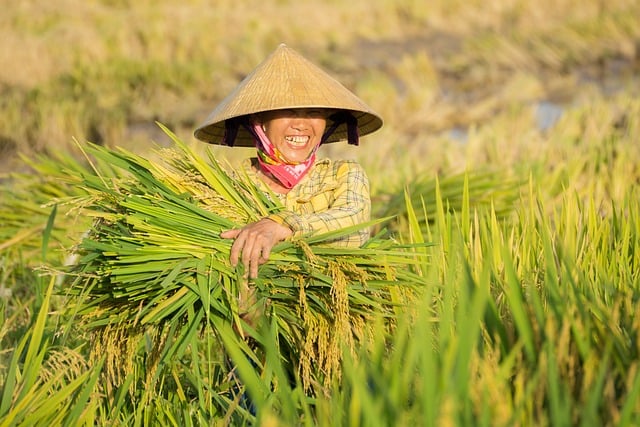 가지밥 만들 준비! 필요한 재료와 양념장 레시피