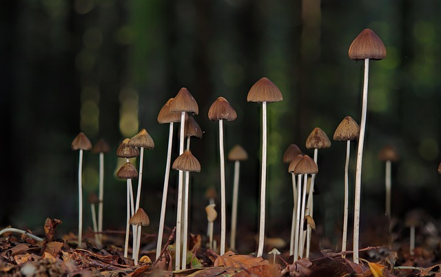 포인트는 얼마나 쌓일까요?