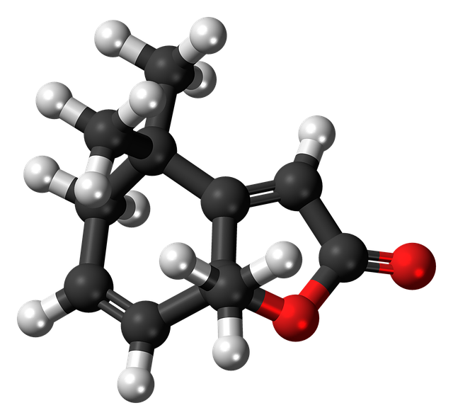 우리 집에 권연벌레 트랩이 꼭 필요한 이유!