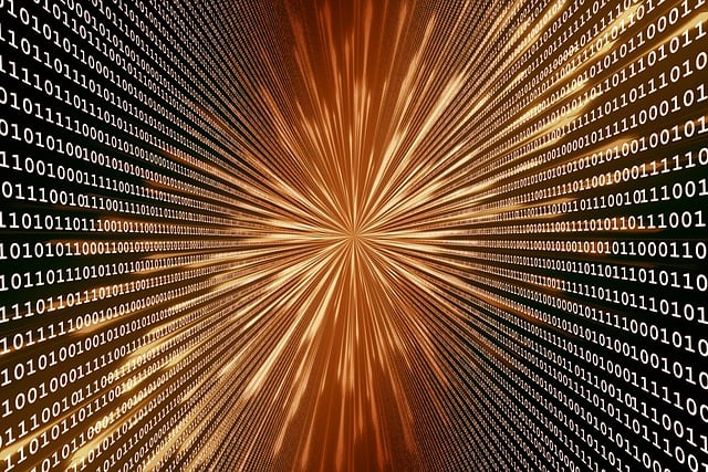 '새로'는 어떻게 시장을 이끌어왔을까요?