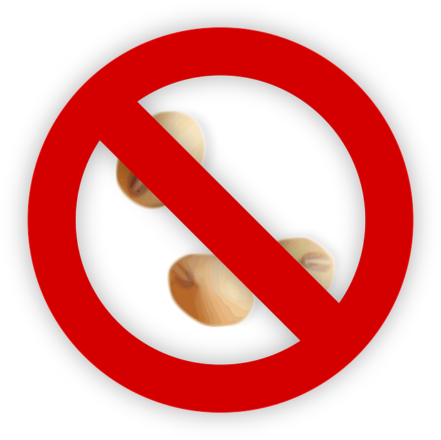 루피니빈 밥, 더 맛있고 안전하게 즐기는 꿀팁! 💡 (맛, 보관, 주의사항)