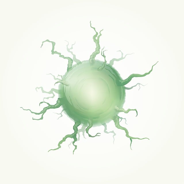 헬리코박터균, 대체 어떤 균일까요?