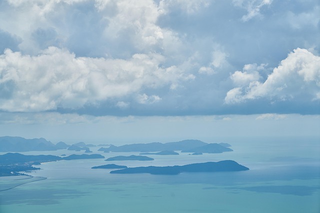더 똑똑해진 셀토스! 첨단 안전 & 편의 사양 총정리 🛡️