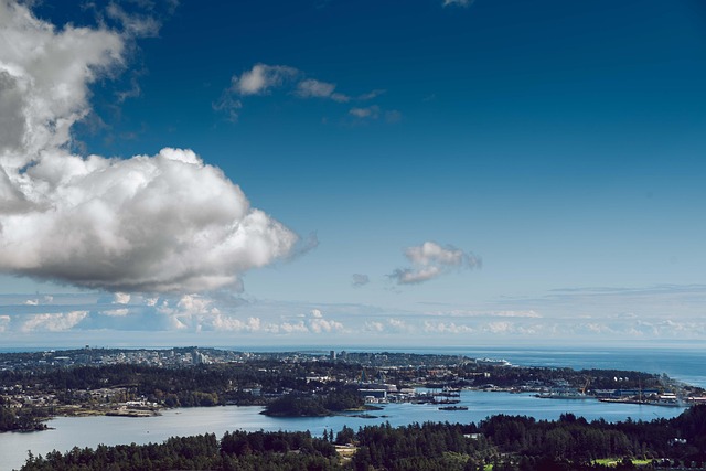 김해 공군기지와 제5공중기동비행단은 어떤 곳인가요?