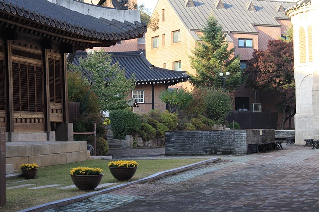 한국 효 문화, 그 깊은 역사 이야기