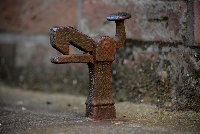 다양한 사이즈와 종류 알아보기